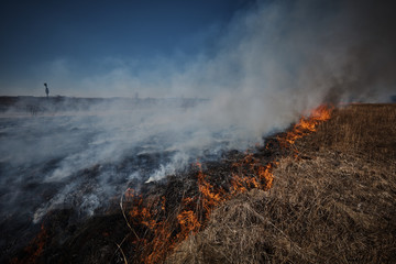 Conservation Wildfire