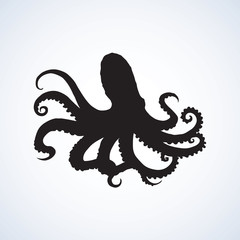  Octopus. Vector drawing