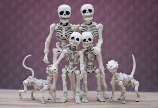 Skeleton family portrait with pet