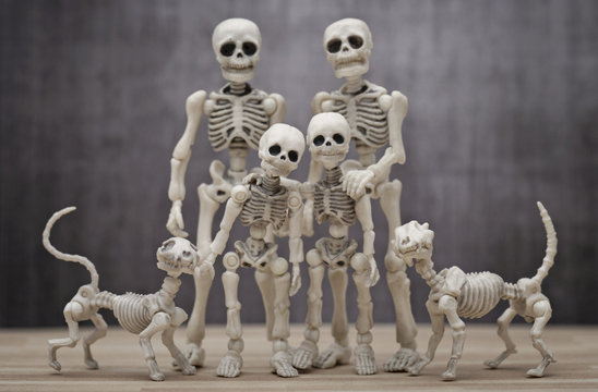 Skeleton family portrait with pets