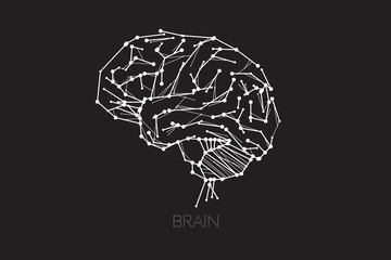 Human brain line dot design concept