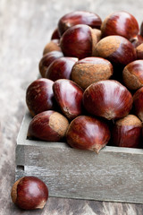 fresh  raw chestnuts in a wooden box on wooden background