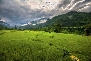 Fototapeta na wymiar Green valley on Manaslu circuit in Himalaya mountains, Nepal