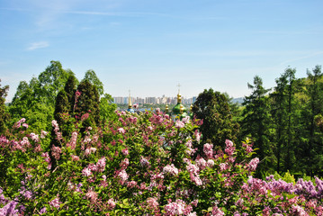 Iconic view to a monastery Vydubitsky and Dnieper River from a botanical garden of Kyiv with blooming lilac, Ukraine.