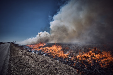Conservation Wildfire