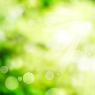 Bright green spring background