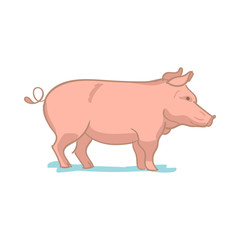Realistic colored sketch vector illustration of farm pig