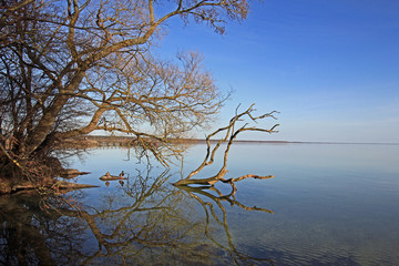 Fototapeta na wymiar Idyllisches Ufer an der Müritz (Mecklenburg-Vorpommern)