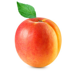 apricot fruits isolated