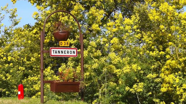 Road sign of Tanneron, small town in Provence-Alpes-C&ocirc;te d'Azur, France. Part of Road of mimosa