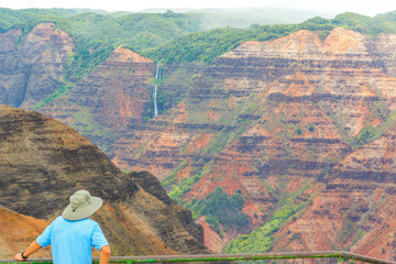 A man enjoying the beautiful views of the Waimea Canyon lookout, Kauai island, Hawaii