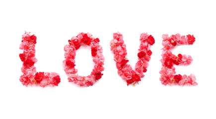 Floral collage "Love" isolated on white background