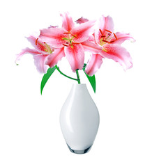 beautiful pink lily in vase on white background with clipping path