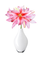 Beautiful pink lily in vase isolated on white background