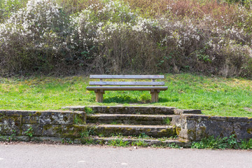 Park Bench Wooden Beautiful Landscape Sit Down Grass Nature Welcoming Outdoors City Recreation Ground
