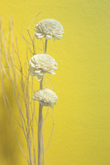 Dry white flower on yellow background