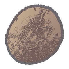 Illustration of annual rings on a wood slice.  Vector.