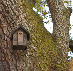Bird house at Mead Botanical Garden in Orlando, Florida
