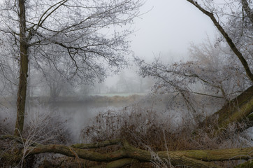 Frosty winter day