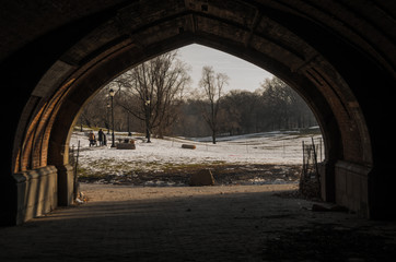 Central park in winter