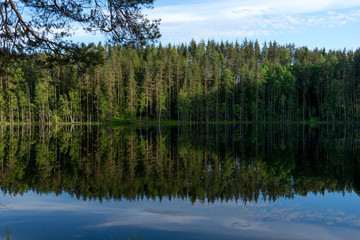 Beautiful lake with reflection of blue sky and evergreen forest in the north of Russia
