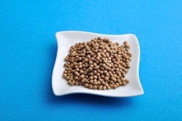 Coriander seeds in a dish