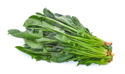 Spinach leaves isolated on white background