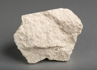 Limestone with inclusions of sea shells on gray background. Limestone is a sedimentary rock ...