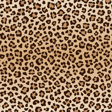 Seamless animal leopard pattern, vector