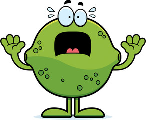Scared Cartoon Lime