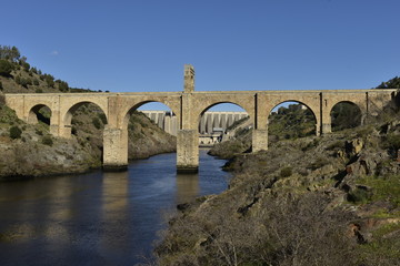 Fototapeta na wymiar Puente de Alcantara