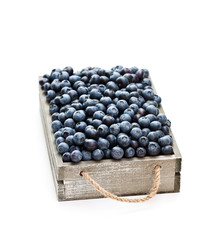 fresh  blueberries in a wooden box isolated on white background