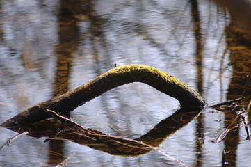 Idyllische Uferlandschaft an einem See