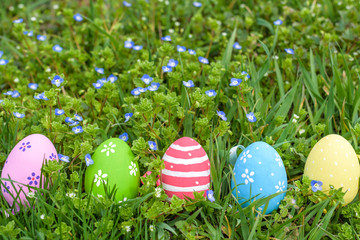 colorful Easter egg in the fresh spring meadow