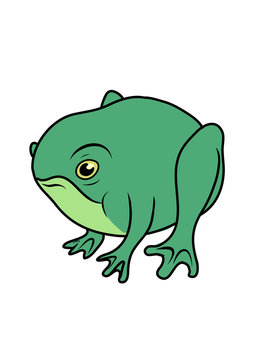 Cartoon frog. Vector illustration