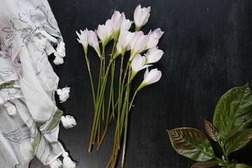 White spring flowers on black chalk board background