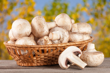 Champignon mushrooms in a wicker basket on wooden table with blurry garden background