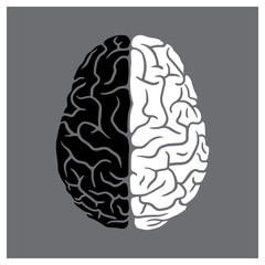 Left and right sides of the human brain illustration