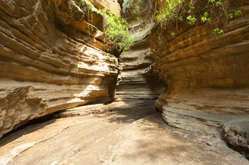 Cave in Hells gate, Kenya