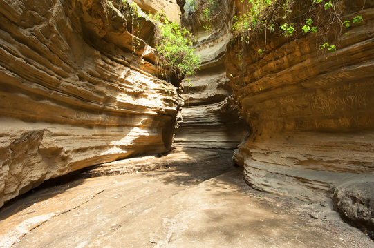 Cave in Hells gate, Kenya