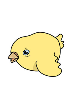 Cartoon bird. Vector illustration