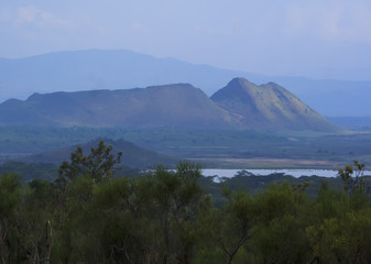 The Vastness Of The Savannah