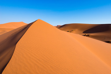 Scenic ridges of sand dunes in Sossusvlei, Namib Naukluft National Park, best tourist and travel attraction in Namibia. Adventure and exploration in Africa.