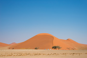 Fototapeta na wymiar Scenic sand dunes in Sossusvlei, Namib Naukluft National Park, best tourist and travel attraction in Namibia. Adventure and exploration in Africa.