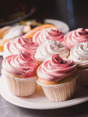 colorful cupcakes on plate