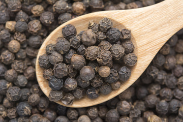 black peppercorns on wooden spoon