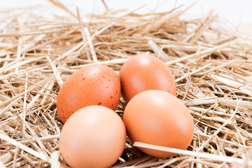Vier Hühnereier im Stroh