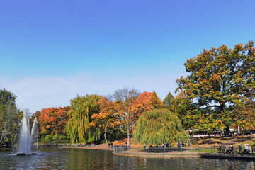 Fototapeta premium Berlin, Volkspark Friedrichshain