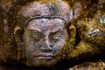 Fototapeta na wymiar Mossy stone face