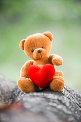 bear doll and red heart on the log